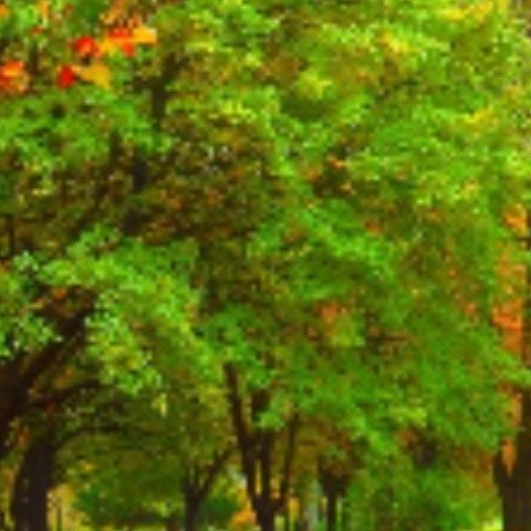 DecisiveInterface80 My Profile